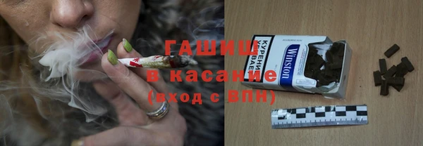 хмурый Абаза