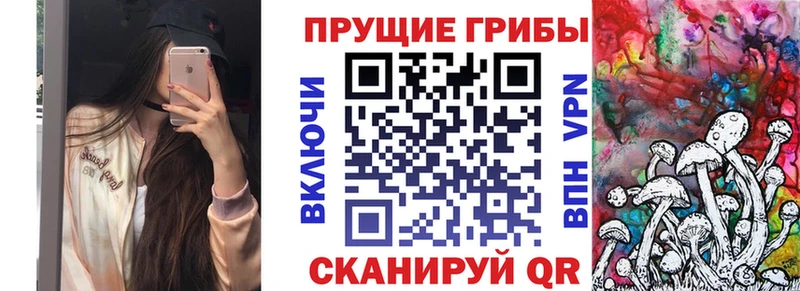 Галлюциногенные грибы Psilocybe  где найти наркотики  Вилючинск 